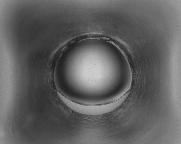 X0000114721255200910211340