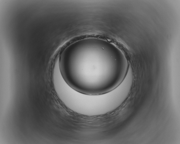 X0000114721256200910211340