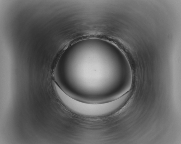 X0000114721257200910211340