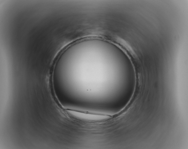 X0000114721260200910211340