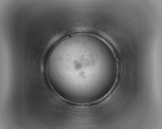 X0000114721261200910211340