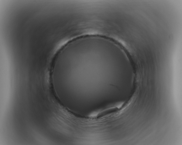 X0000114721263200910211340