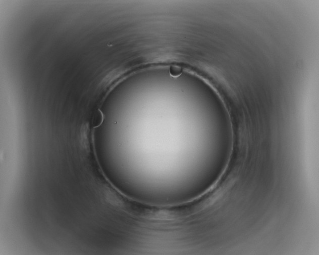 X0000114721265200910211340