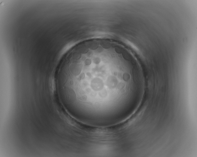 X0000114721267200910211340