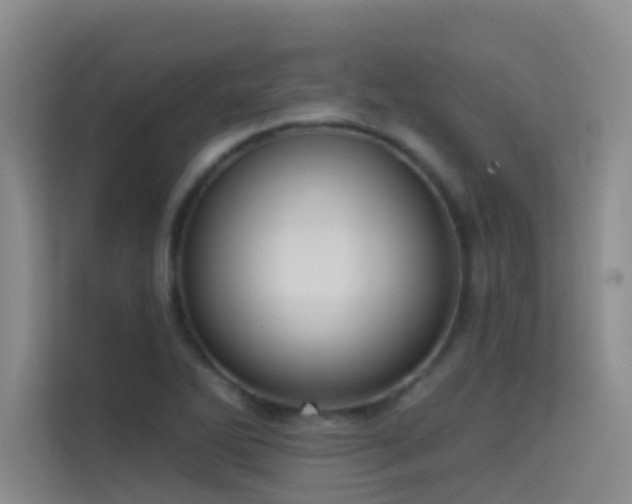 X0000114721270200910211340