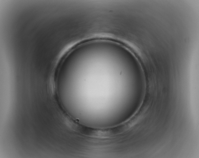 X0000114721271200910211340