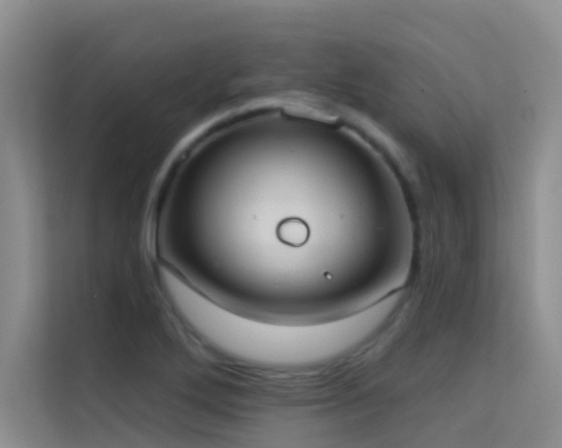 X0000114721272200910211340