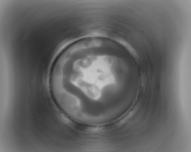 X0000114721278200910211340