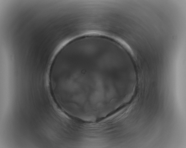 X0000114721279200910211340