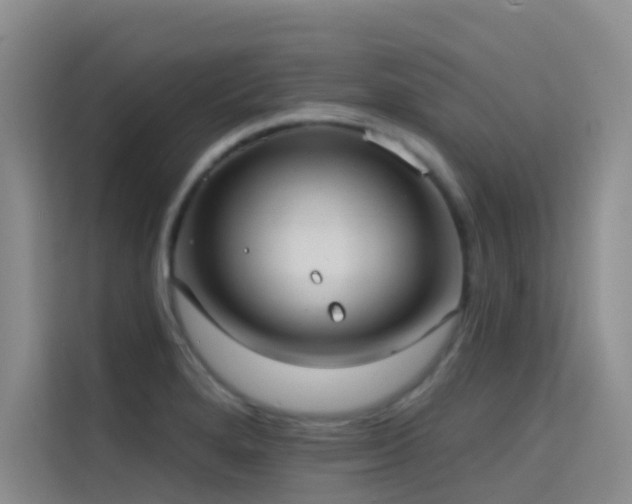 X0000114721280200910211340