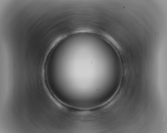 X0000114721282200910211340