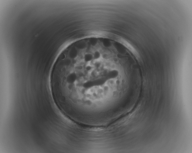 X0000114721283200910211340