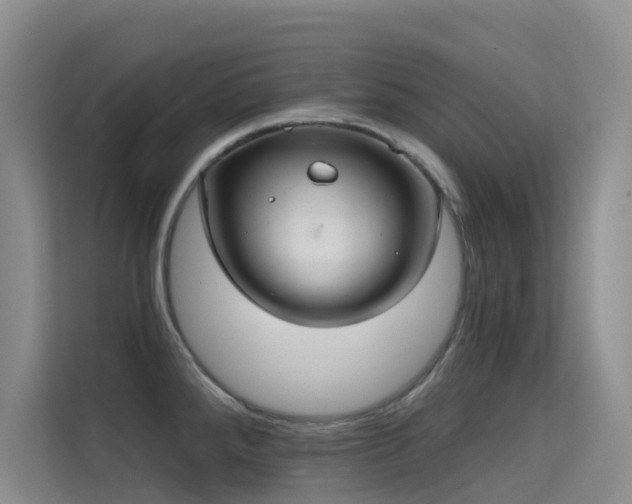 X0000114721288200910211340