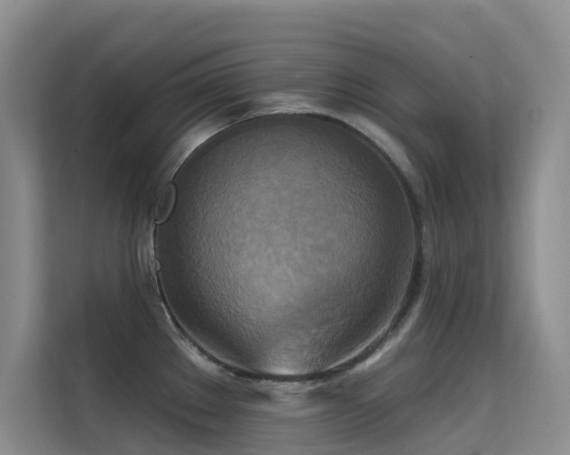 X0000114721289200910211340