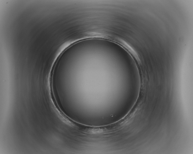 X0000114721291200910211340