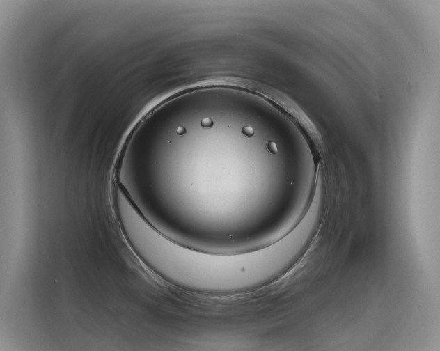 X0000114721292200910211340