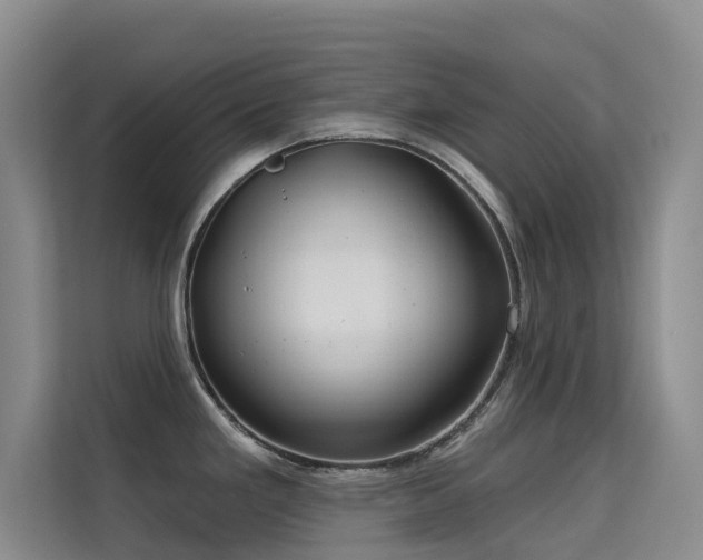 X0000114721293200910211339