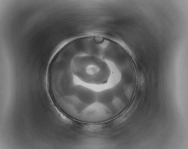 X0000114721294200910211339