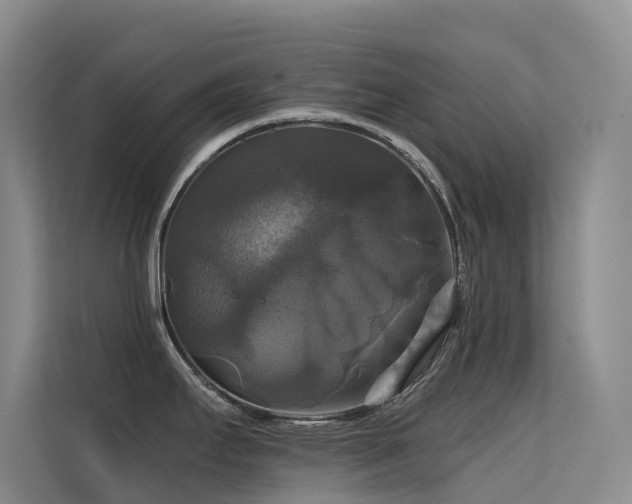 X0000114721295200910211339