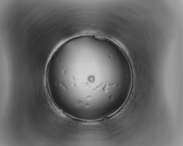 X0000114721296200910211339