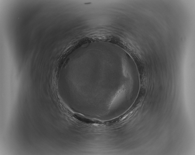 X0000114721297200910211339