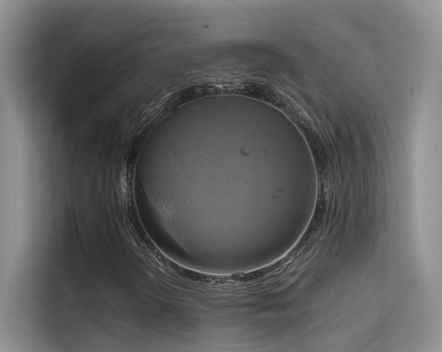 X0000114721298200910211339