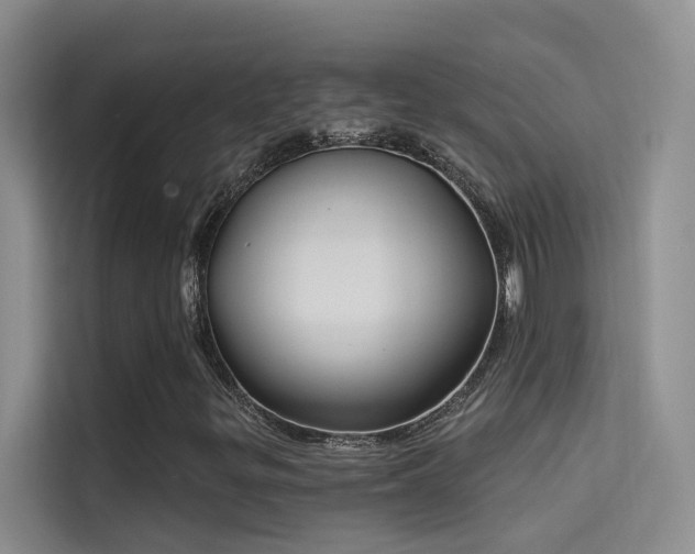 X0000114721299200910211339