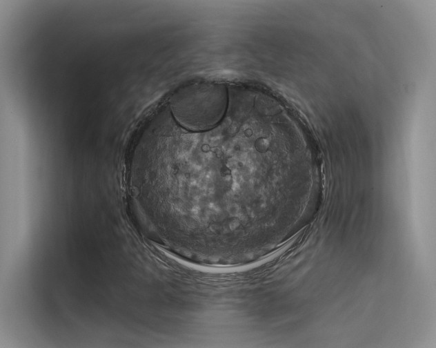 X0000114721301200910211339