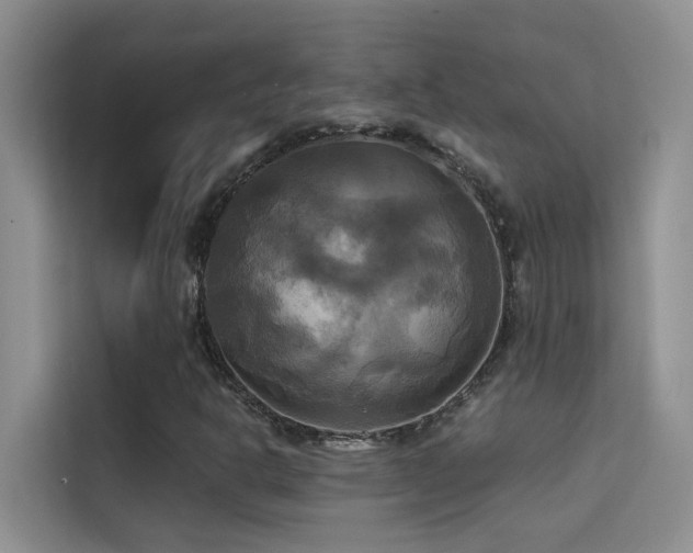 X0000114721302200910211339