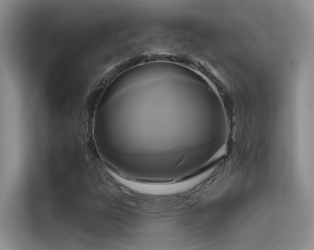 X0000114721303200910211339