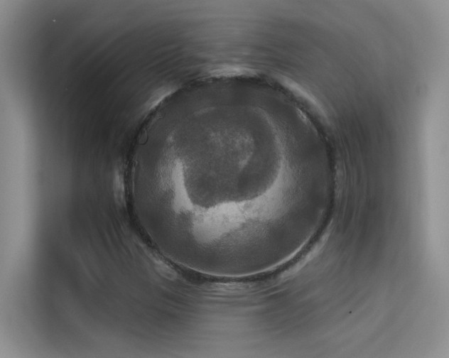 X0000114721305200910211339