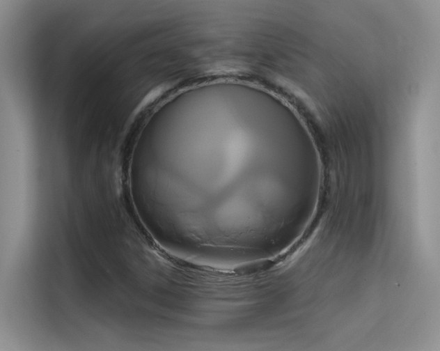 X0000114721306200910211339