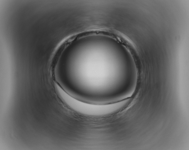 X0000114721310200910211339