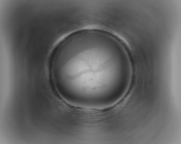 X0000114721311200910211339