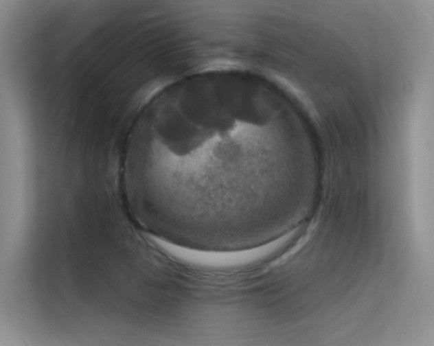 X0000114721313200910211339