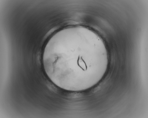 X0000114721314200910211339