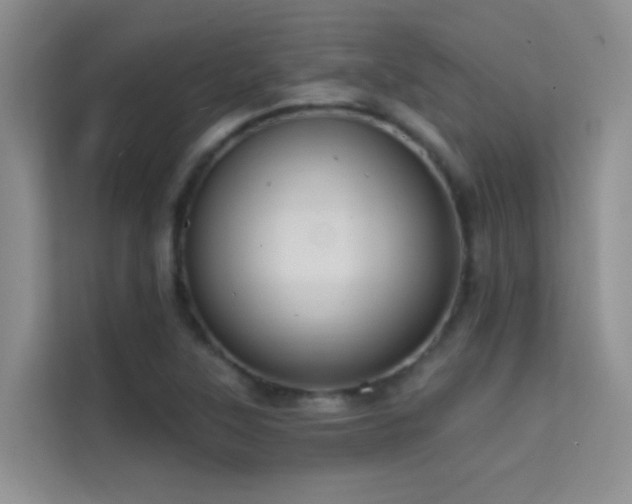 X0000114721315200910211339