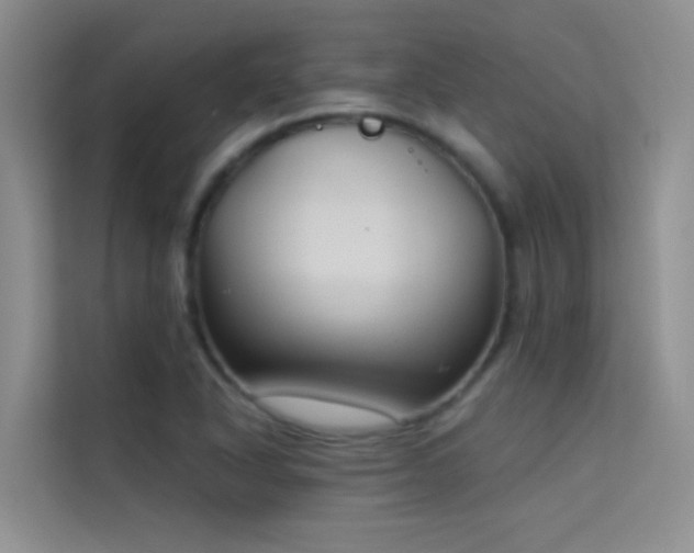 X0000114721318200910211339