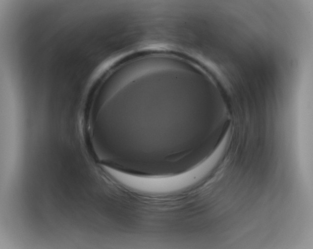 X0000114721319200910211339