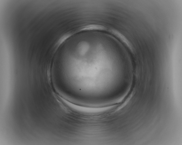 X0000114721321200910211339