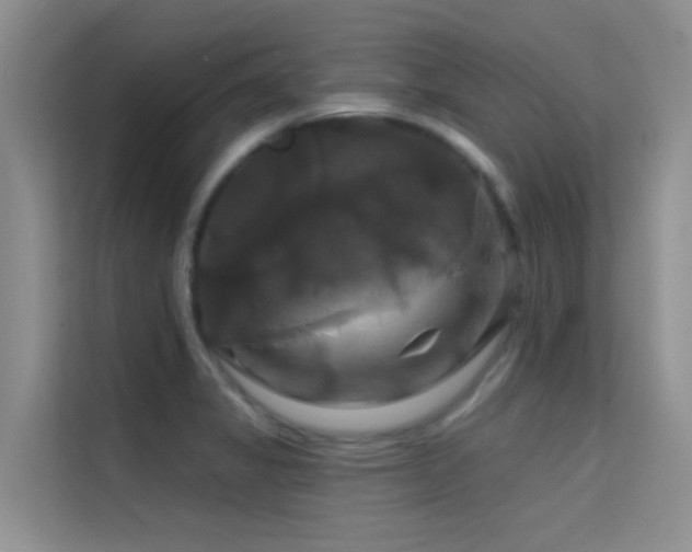 X0000114721325200910211339