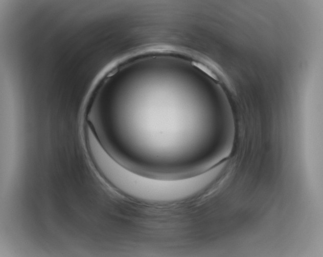 X0000114721326200910211339