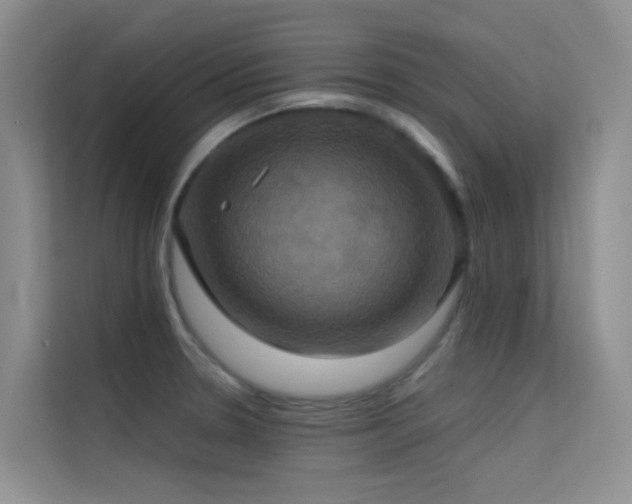 X0000114721330200910211339