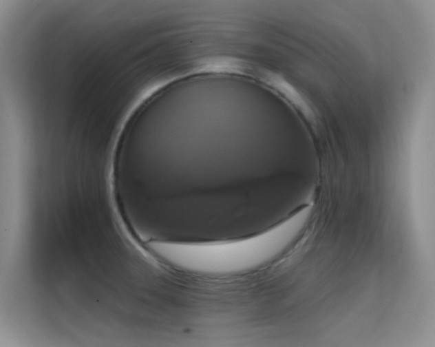 X0000114721331200910211339