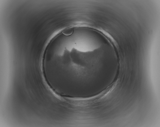 X0000114721333200910211339