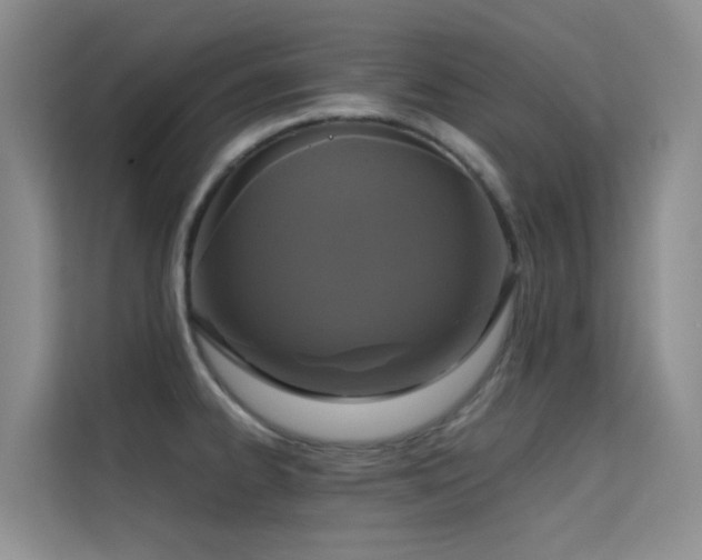 X0000114721334200910211339