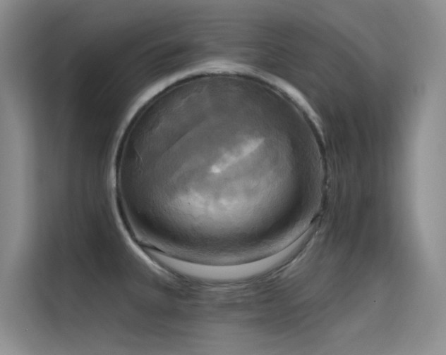 X0000114721335200910211339