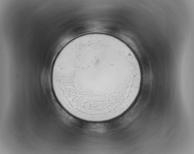 X0000114721338200910211339