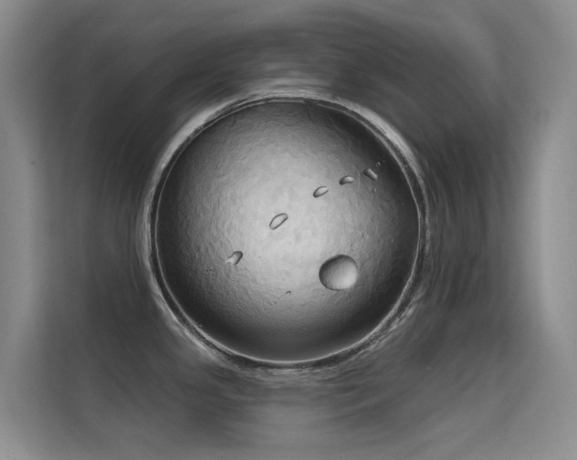 X0000114721341200910211339