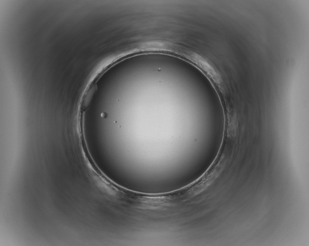 X0000114721342200910211339